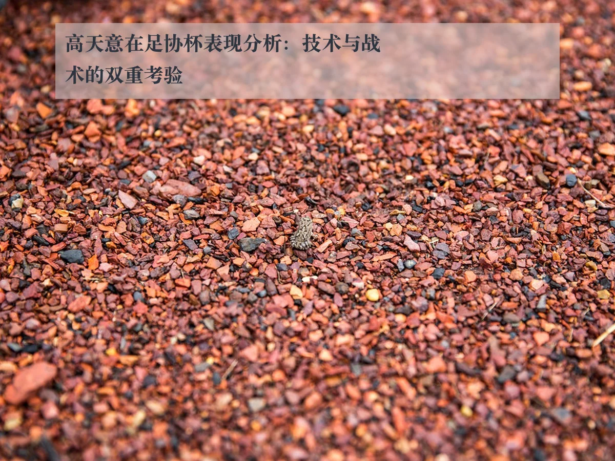 高天意在足协杯表现分析：技术与战术的双重考验